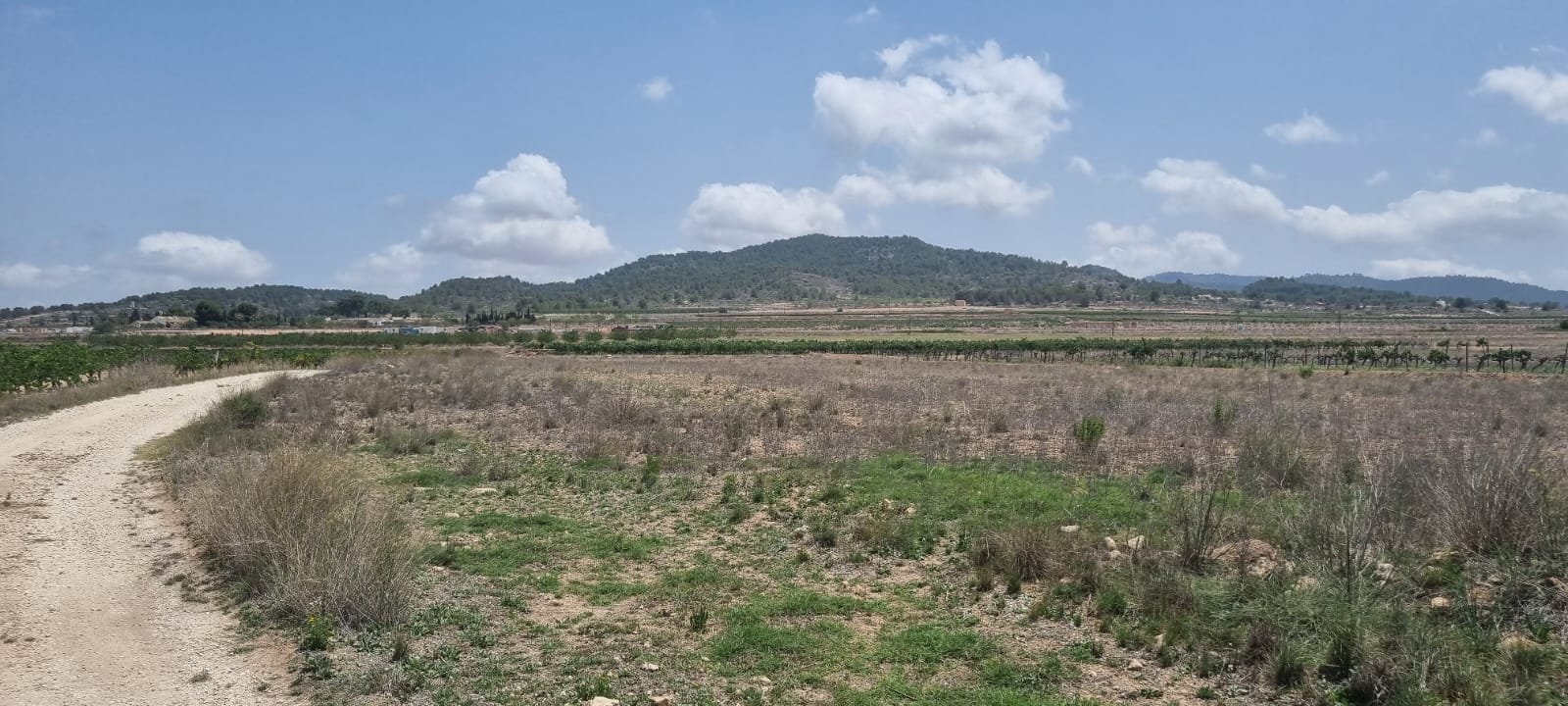 Land in Pinoso - Caza De Casa