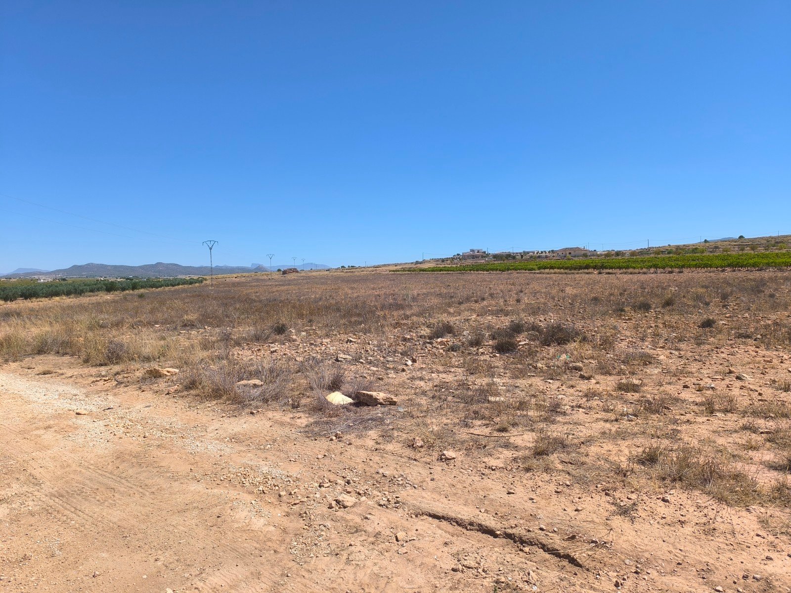 30,552 m² Land in Pinoso - Caza De Casa