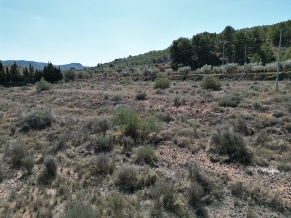 Land in Pinoso - Caza De Casa