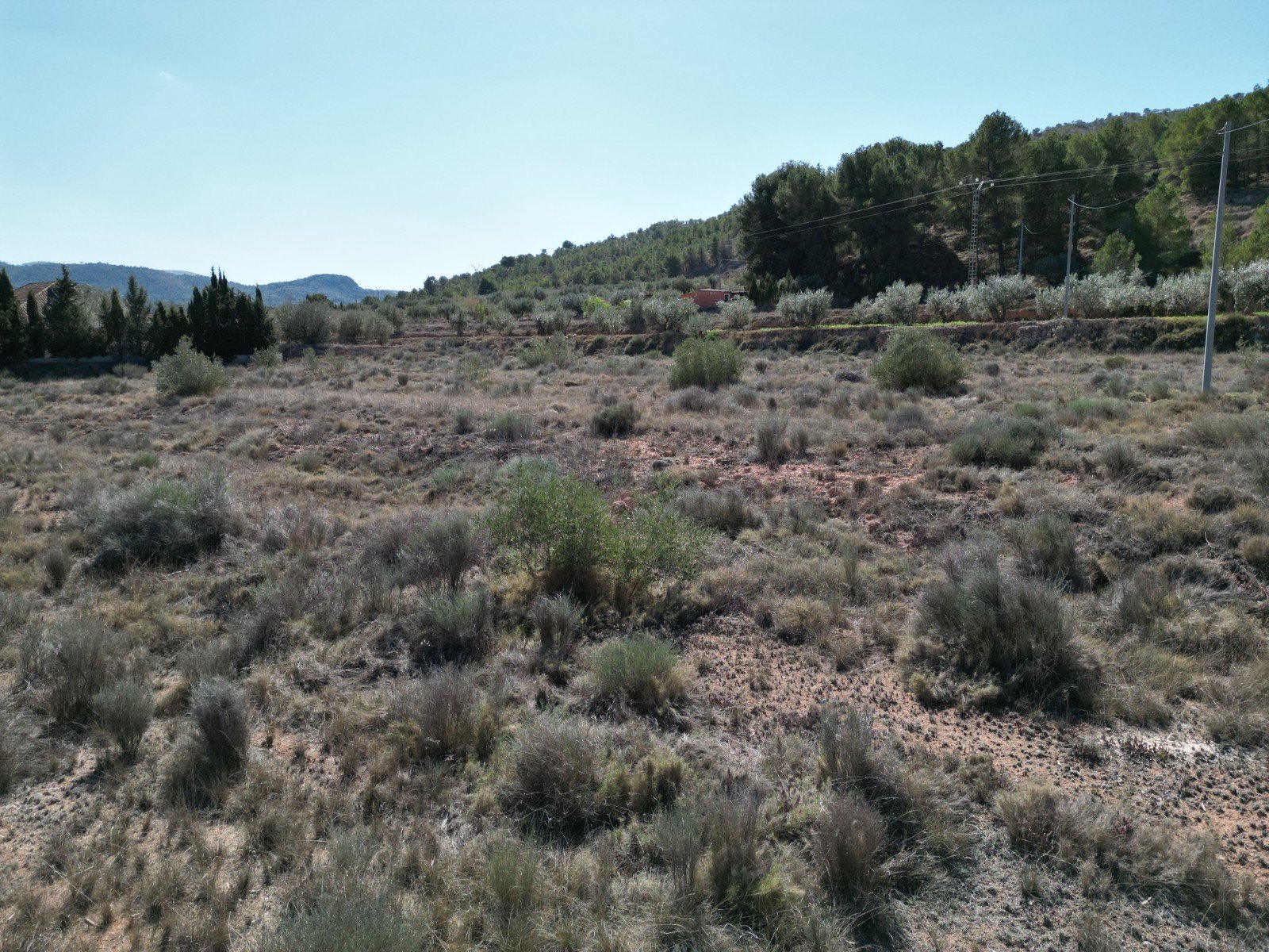 Land in Pinoso - Caza De Casa