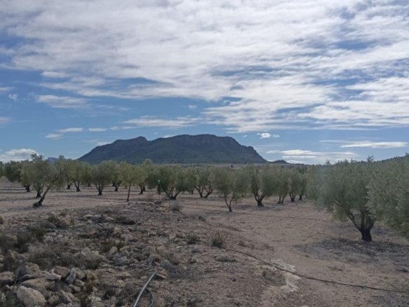 Land in Salinas - Caza De Casa
