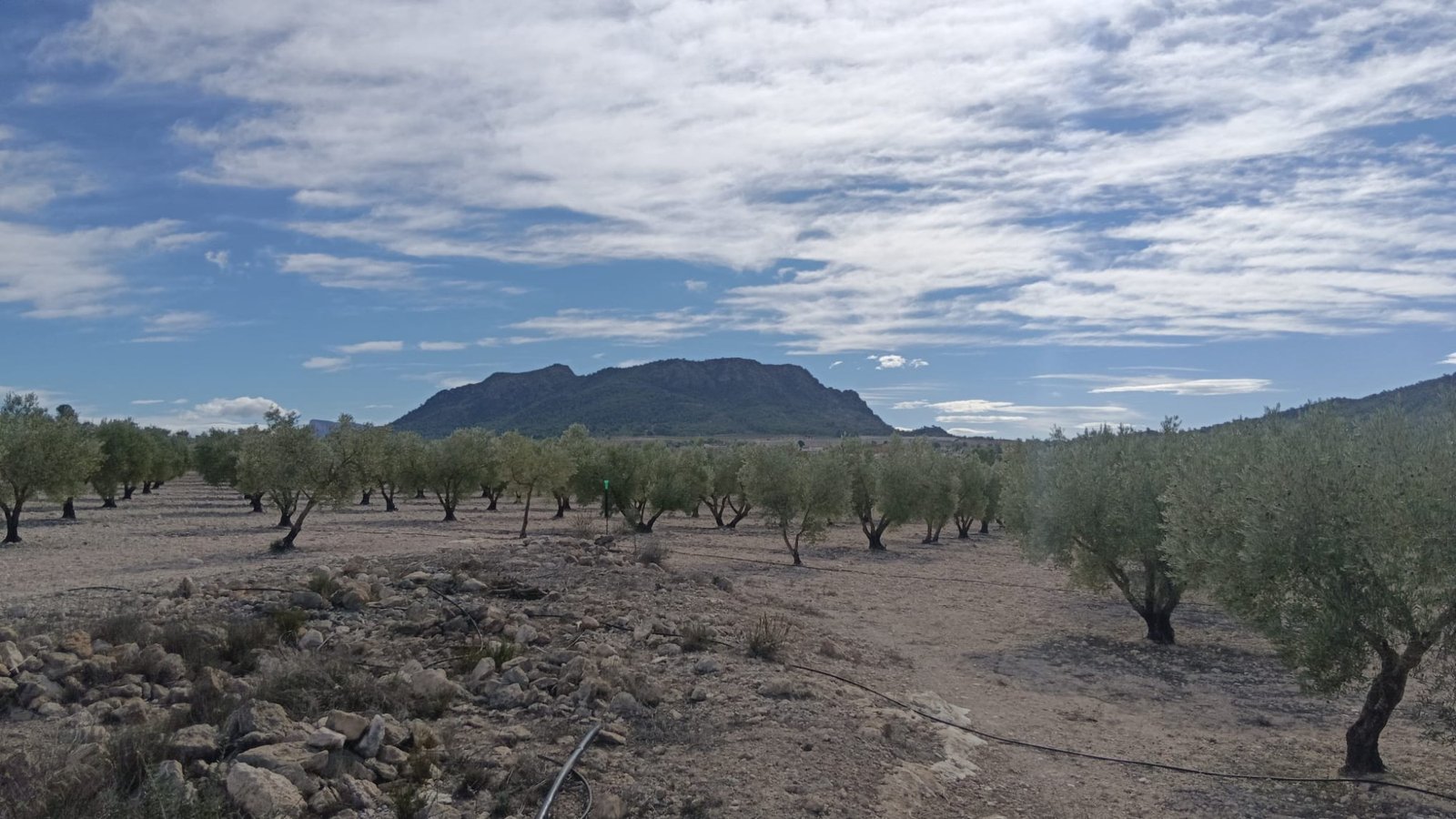 Land in Salinas - Caza De Casa