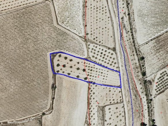 5,750 m² Land in Pinoso - Caza De Casa