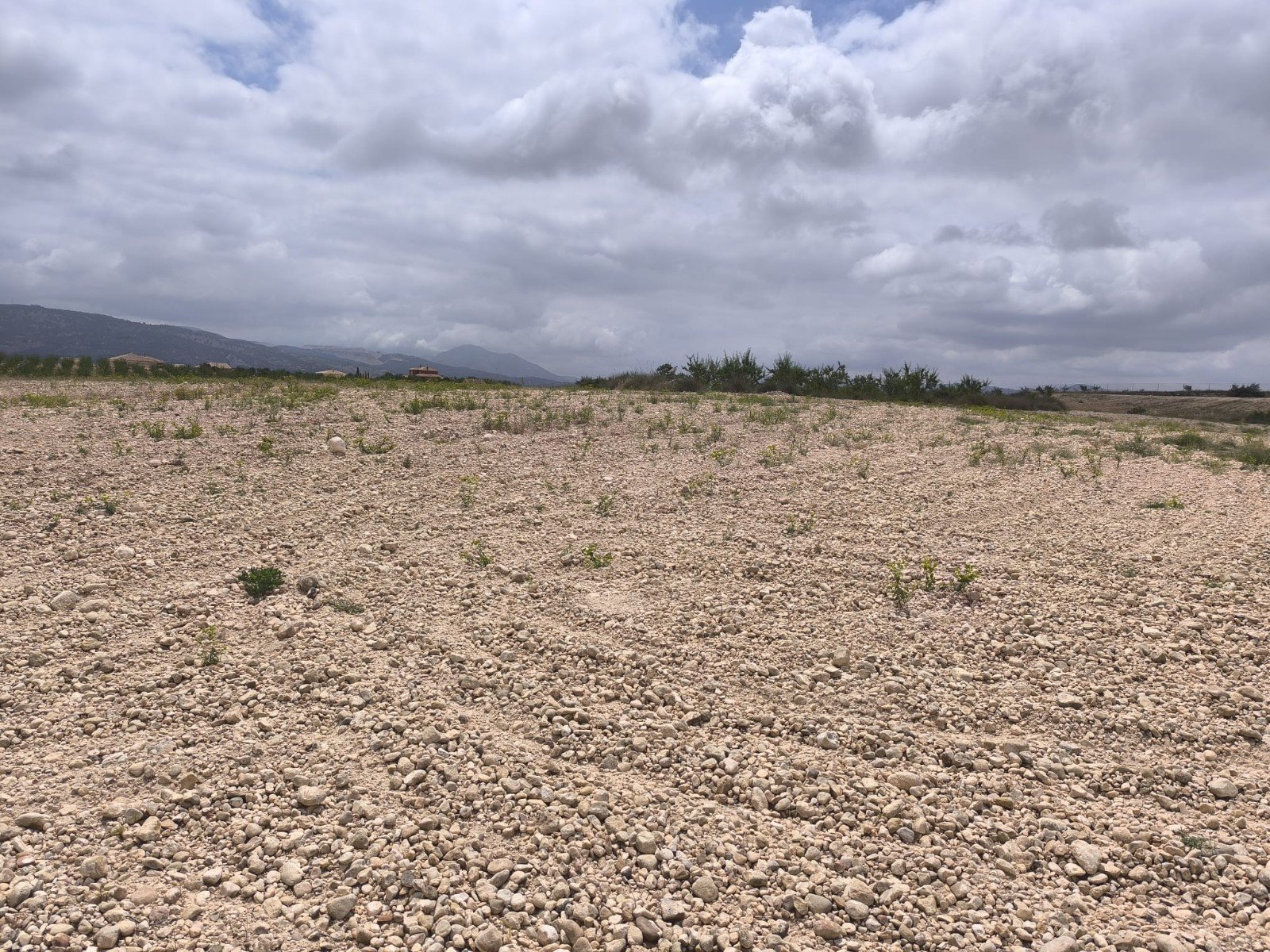 29,575 m² Land in Pinoso - Caza De Casa