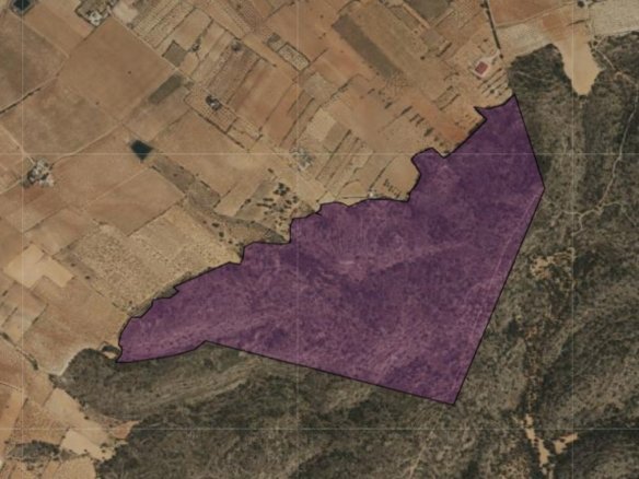 Land in Yecla - Caza De Casa