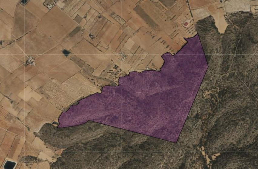 Land in Yecla - Caza De Casa