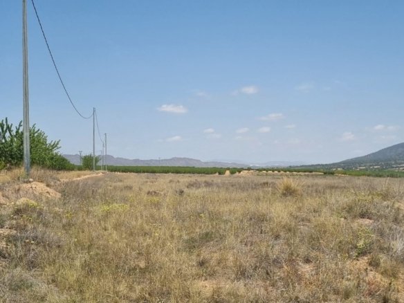 Land in Yecla - Caza De Casa