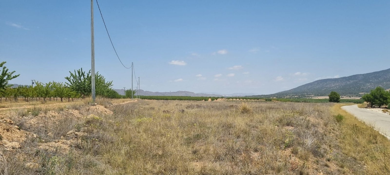 Land in Yecla - Caza De Casa