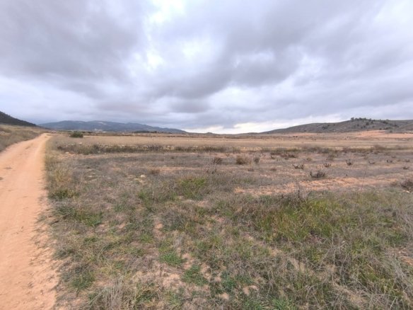 Land in La Solana - Caza De Casa