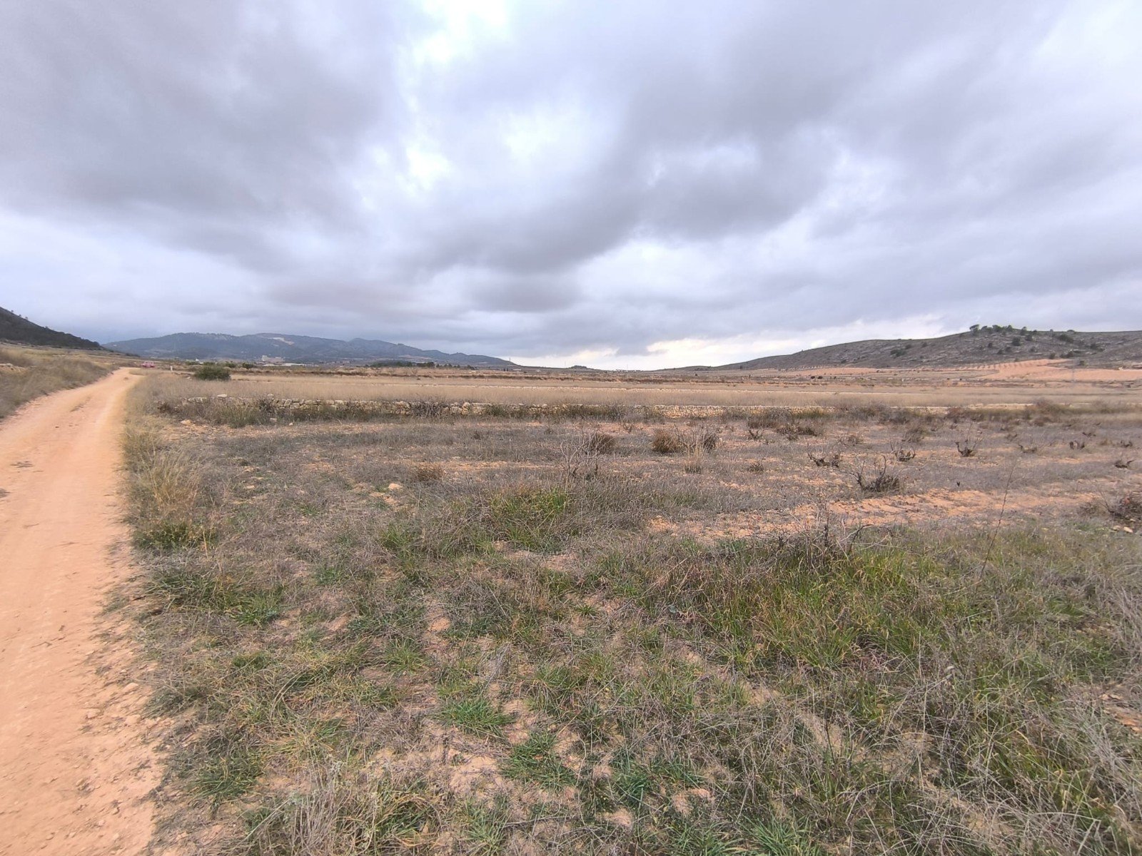 Land in La Solana - Caza De Casa