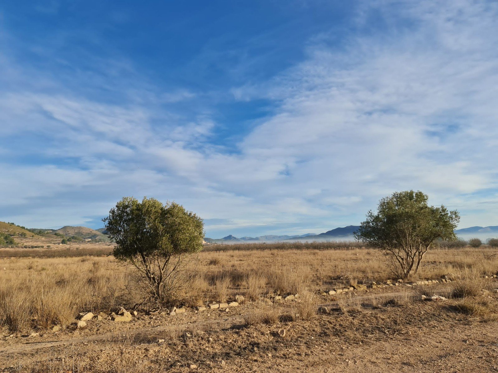 Land in Monóvar/Monóver - Caza De Casa