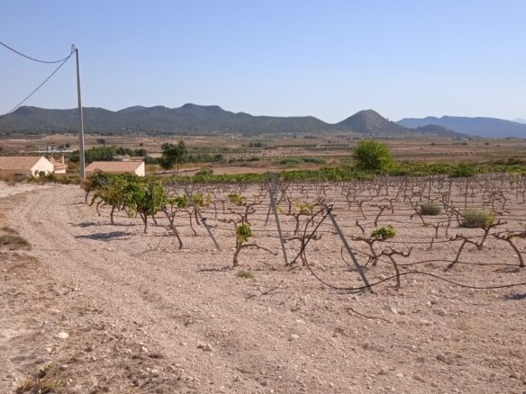 Land in Pinoso - Caza De Casa