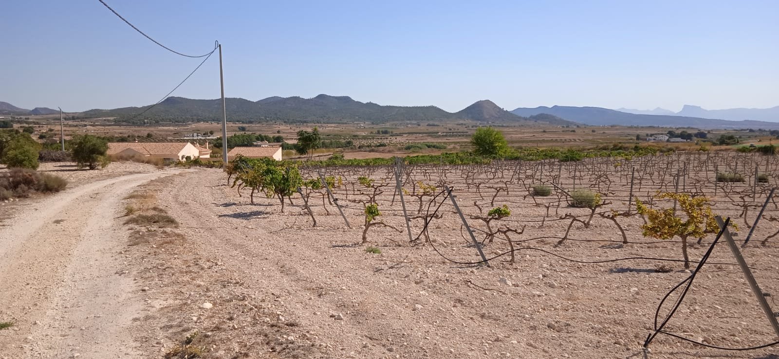 Land in Pinoso - Caza De Casa