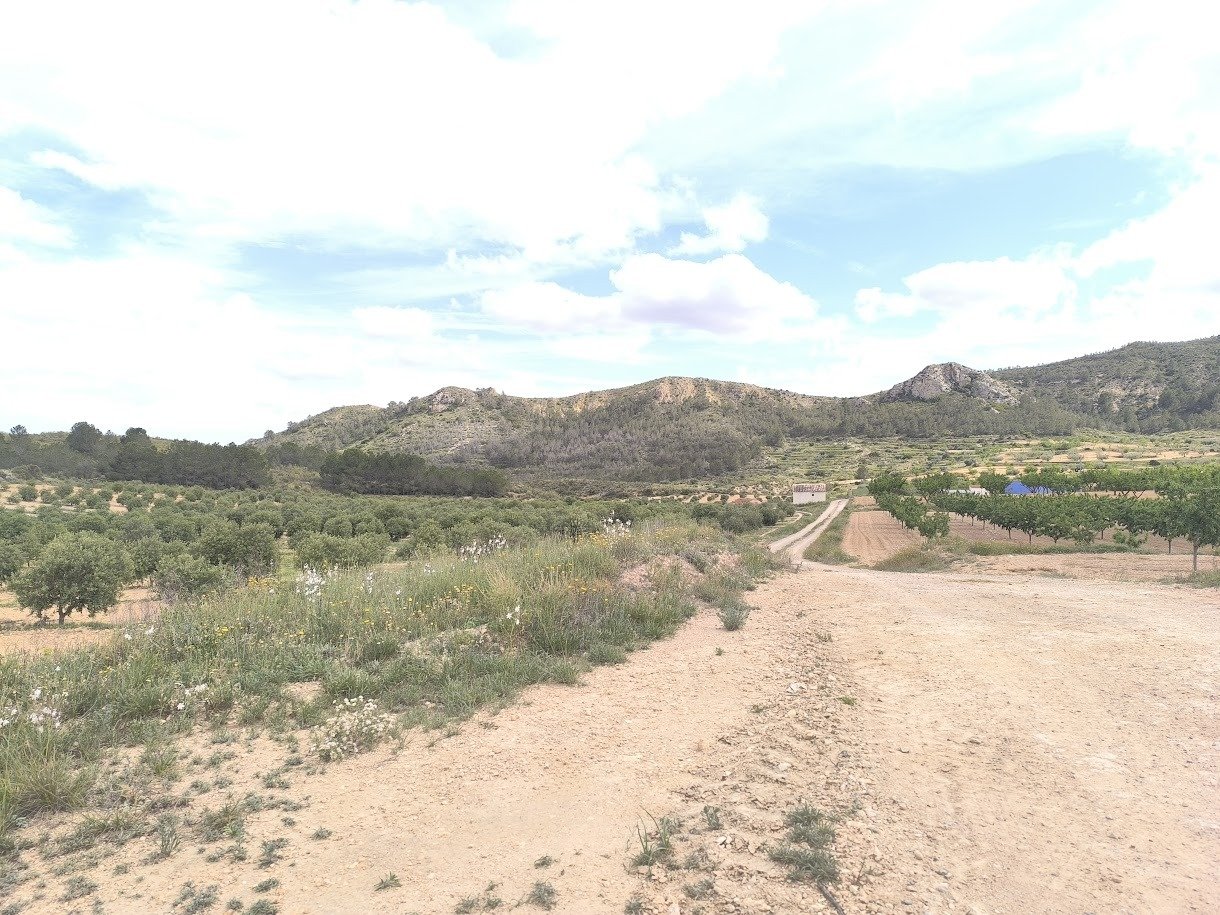b7c21942441d3016 2 Bedroom Land in Jumilla - Caza De Casa