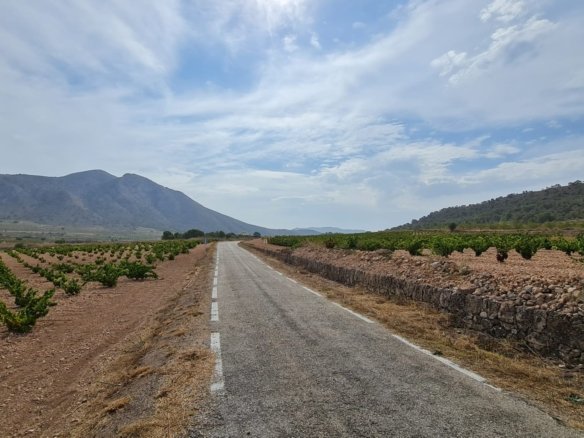 Land in Abanilla - Caza De Casa