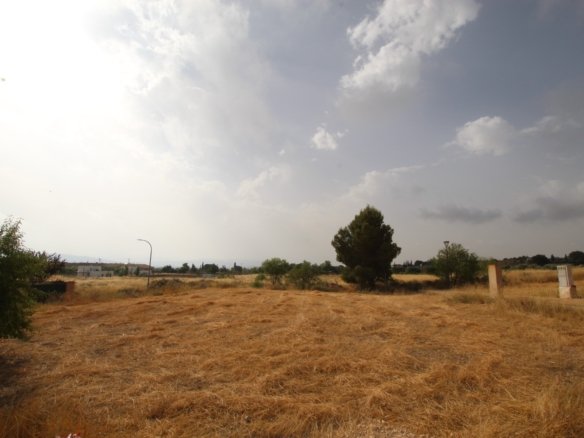Land in Caudete - Caza De Casa