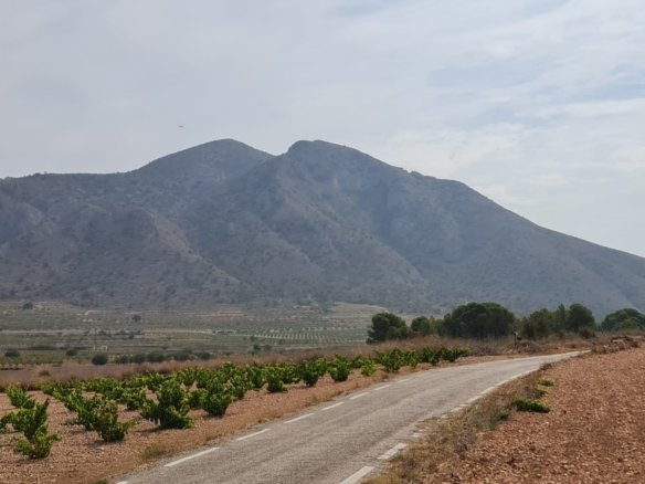 Land in Abanilla - Caza De Casa
