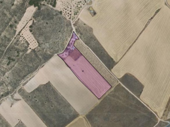 3 Bed 2 Bath Country House in Yecla - Caza De Casa