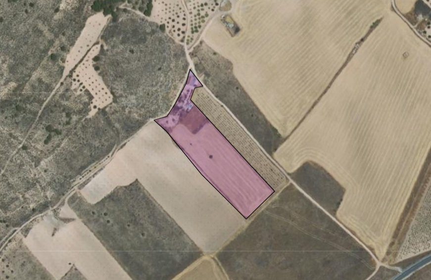 3 Bed 2 Bath Country House in Yecla - Caza De Casa