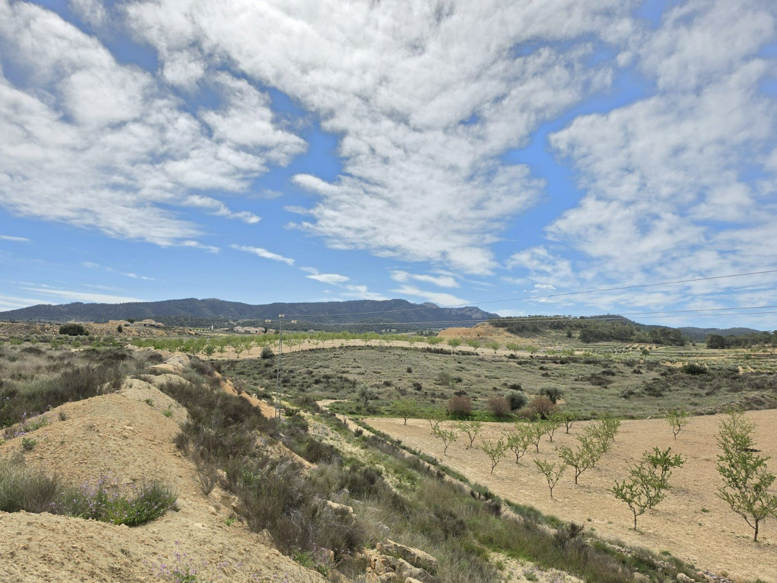 Land in Jumilla - Caza De Casa
