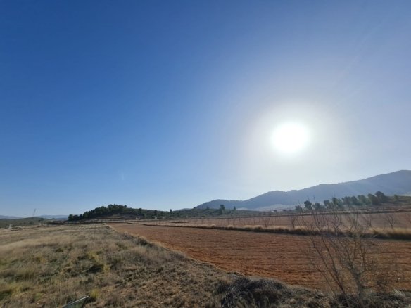 Land in Jumilla - Caza De Casa