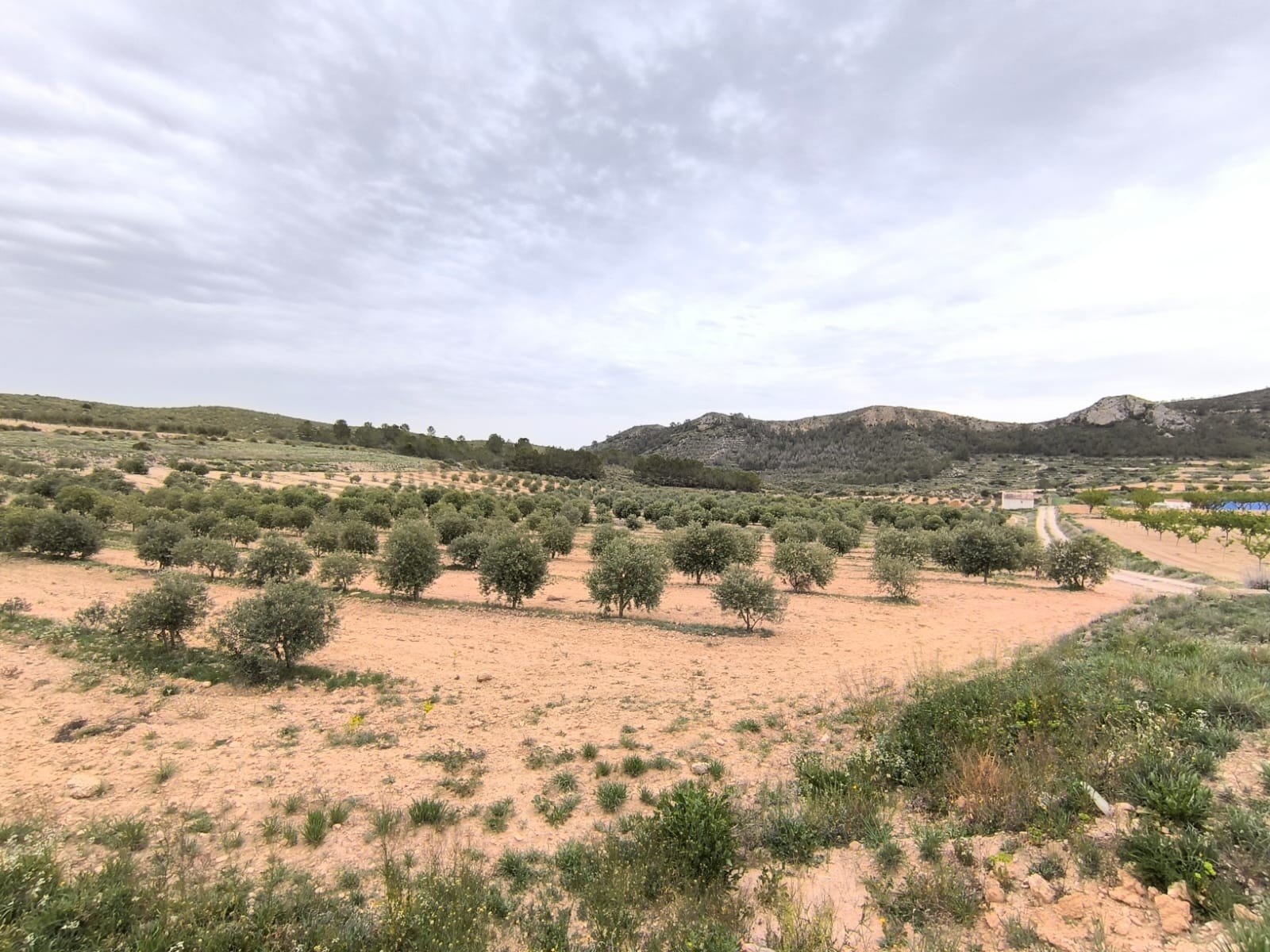 b957661268931b1c 2 Bedroom Land in Jumilla - Caza De Casa