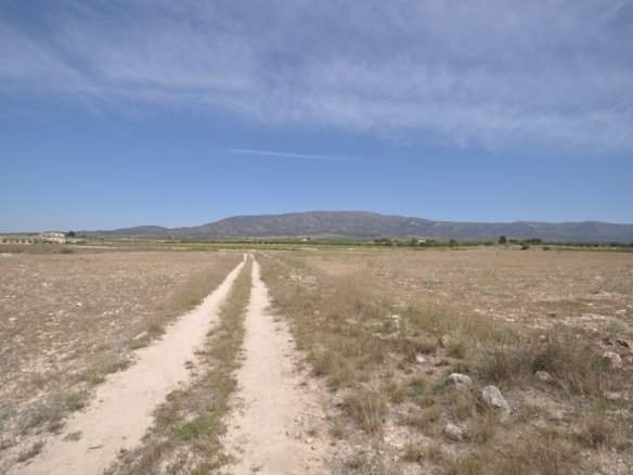 Land in Pinoso - Caza De Casa