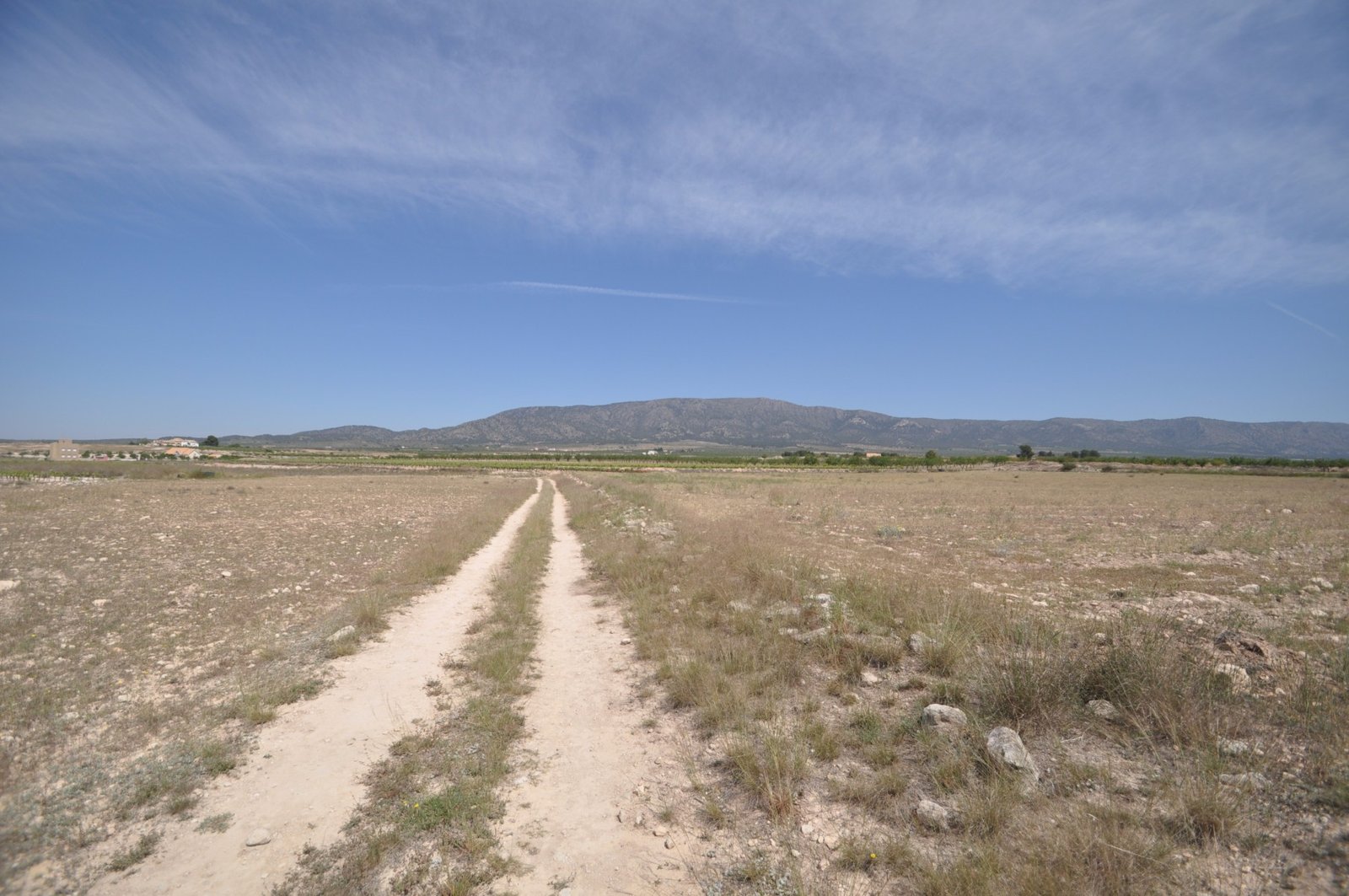 Land in Pinoso - Caza De Casa