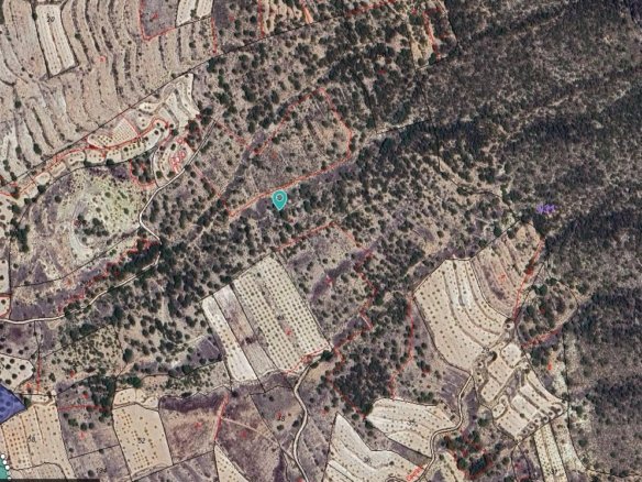 Land in Monóvar/Monóver - Caza De Casa