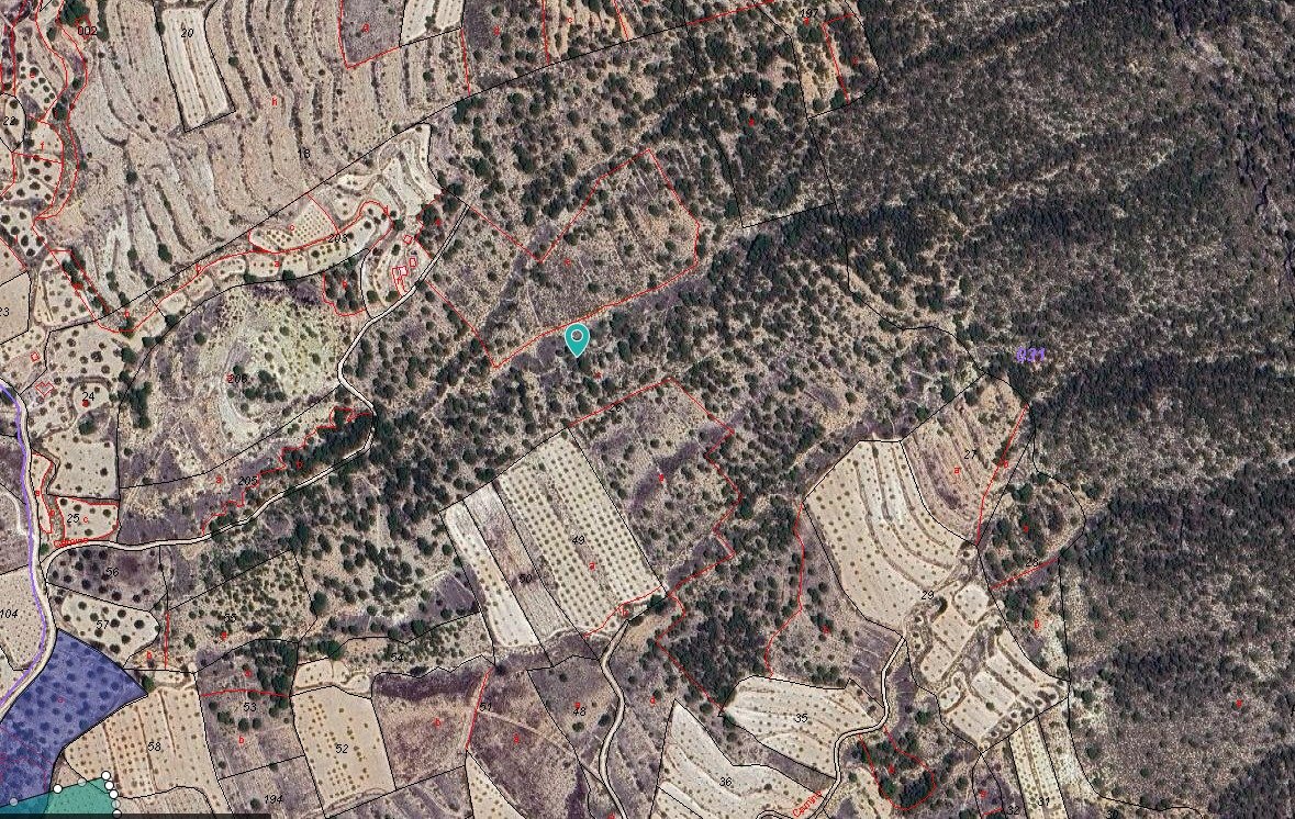 Land in Monóvar/Monóver - Caza De Casa