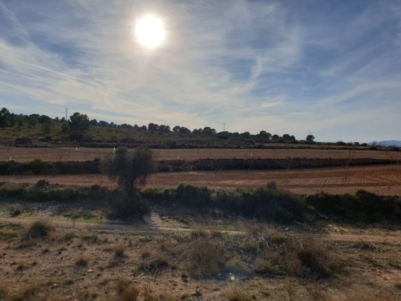 12,116 m² Land in Pinoso - Caza De Casa