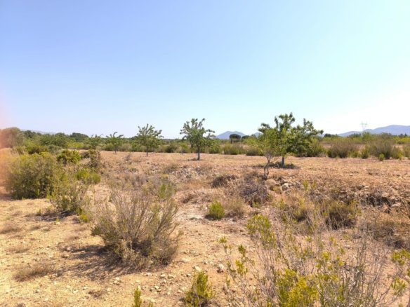 6 Bedroom 2 Bathroom Country House in Villena - Caza De Casa