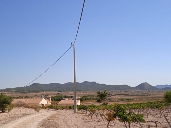 Land in Pinoso - Caza De Casa