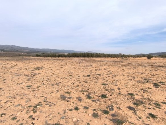 27,000 m² Land in Villena - Caza De Casa