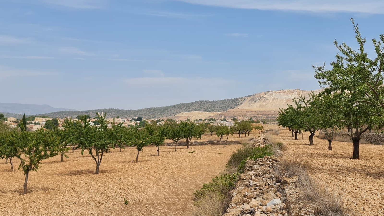 Land in Algueña - Caza De Casa