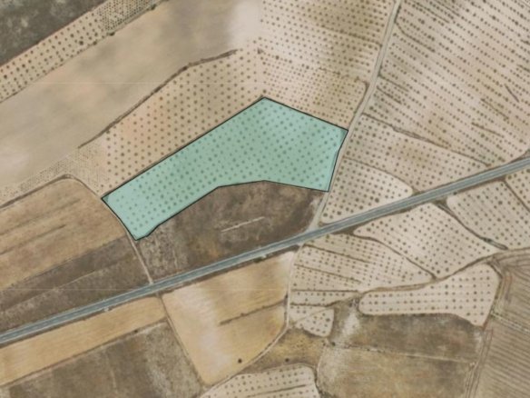 19,875 m² Land in Jumilla - Caza De Casa