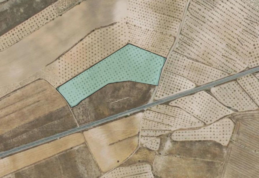 19,875 m² Land in Jumilla - Caza De Casa