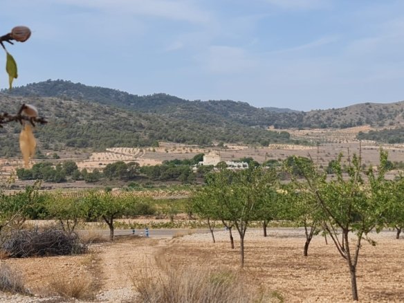 Land in Algueña - Caza De Casa