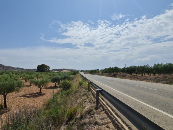 Land in Abanilla - Caza De Casa