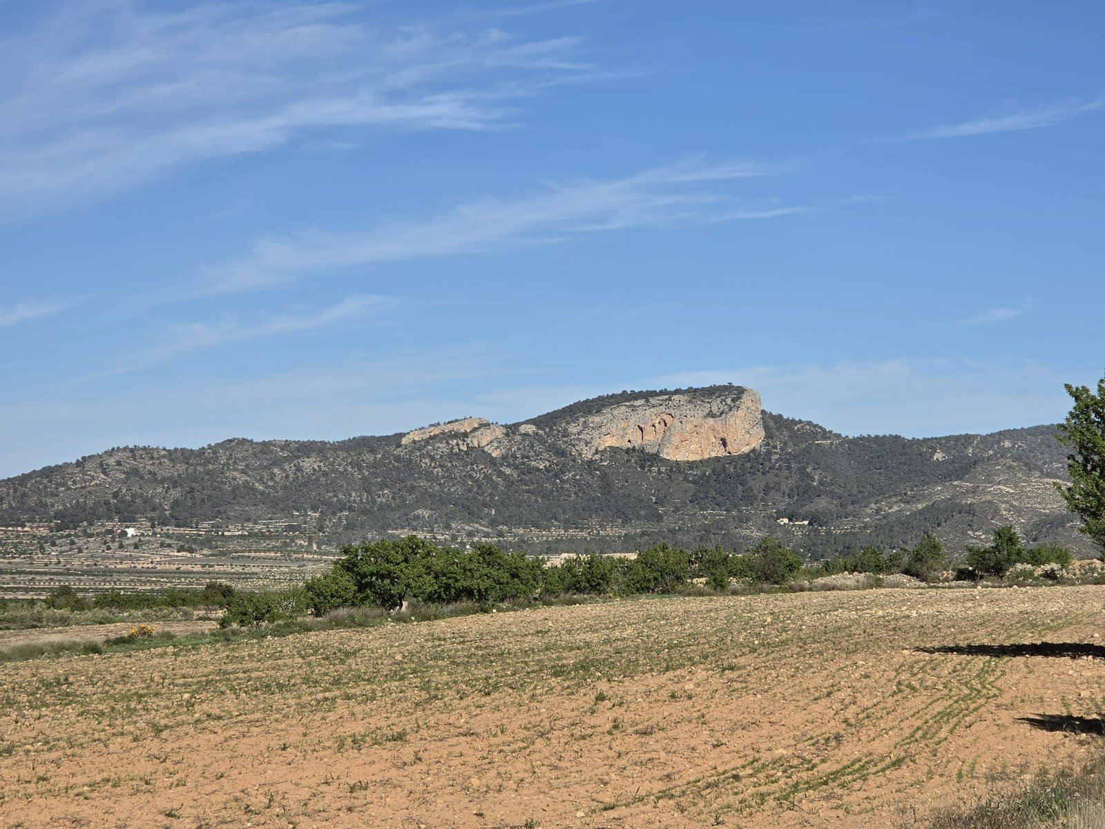 bd4c6cecc9330ff5 Land in Monóvar/Monóver - Caza De Casa