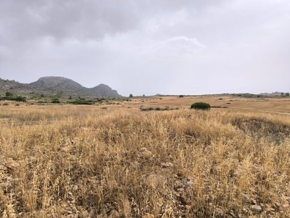 Land in Yecla - Caza De Casa