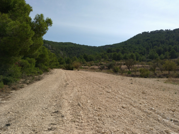 Land in Abanilla - Caza De Casa