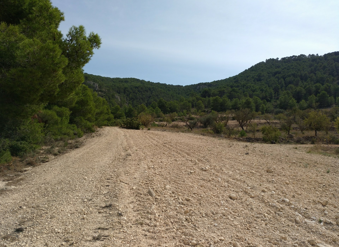 bf0b4c14118dc15c Land in Abanilla - Caza De Casa