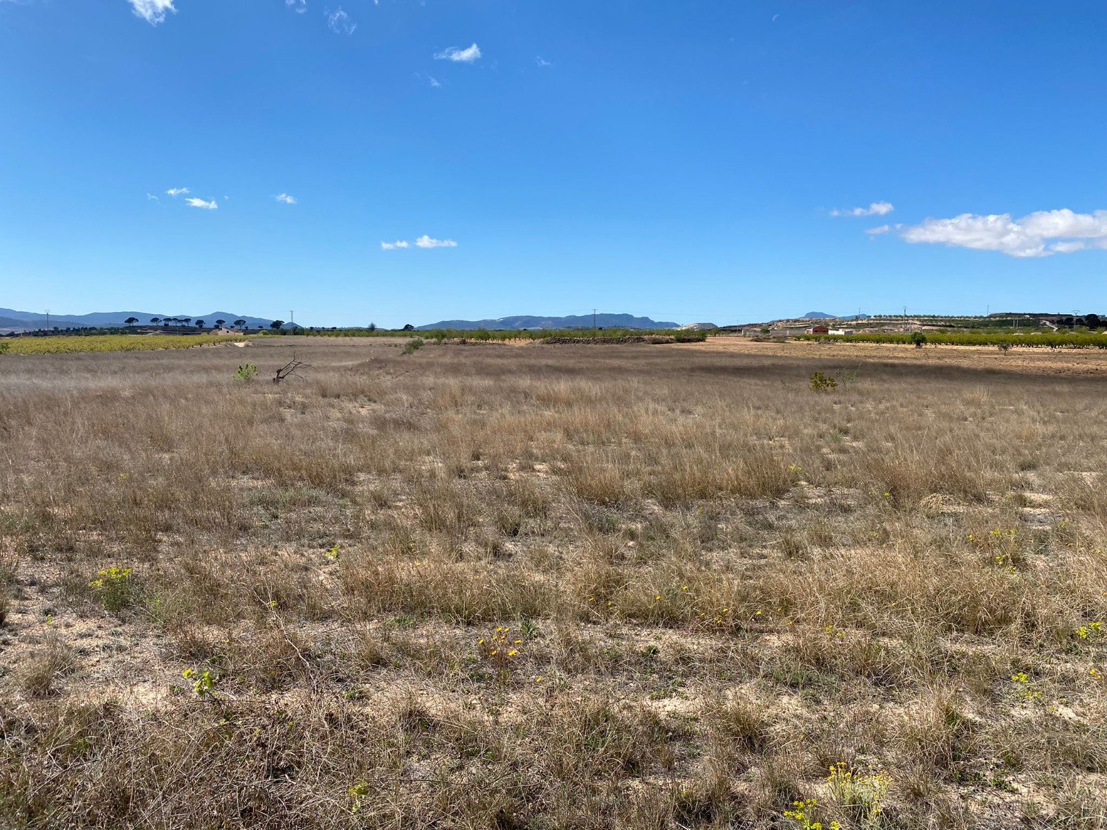 20,357 m² Land in Pinoso - Caza De Casa