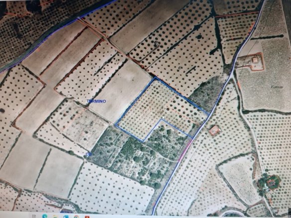 Land in Yecla - Caza De Casa