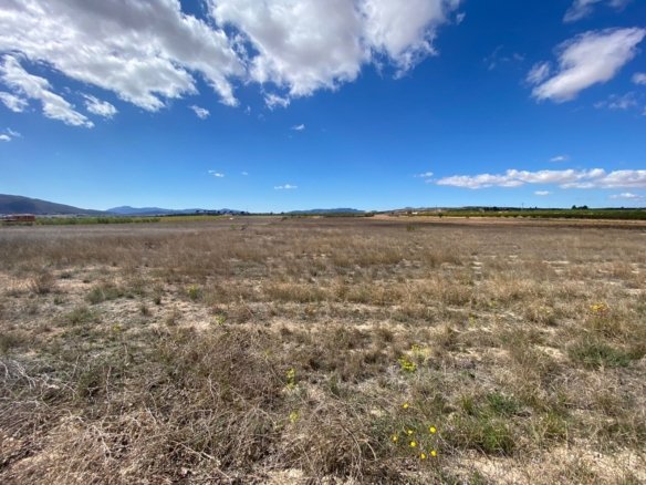 20,357 m² Land in Pinoso - Caza De Casa