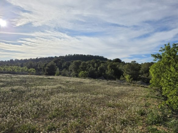 8,802 m² Land in Monóvar/Monóver - Caza De Casa