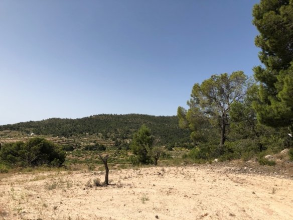 31,486 m² Land in Yecla - Caza De Casa