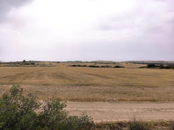 Land in Yecla - Caza De Casa