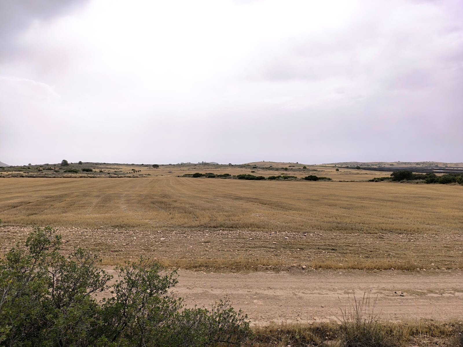 Land in Yecla - Caza De Casa
